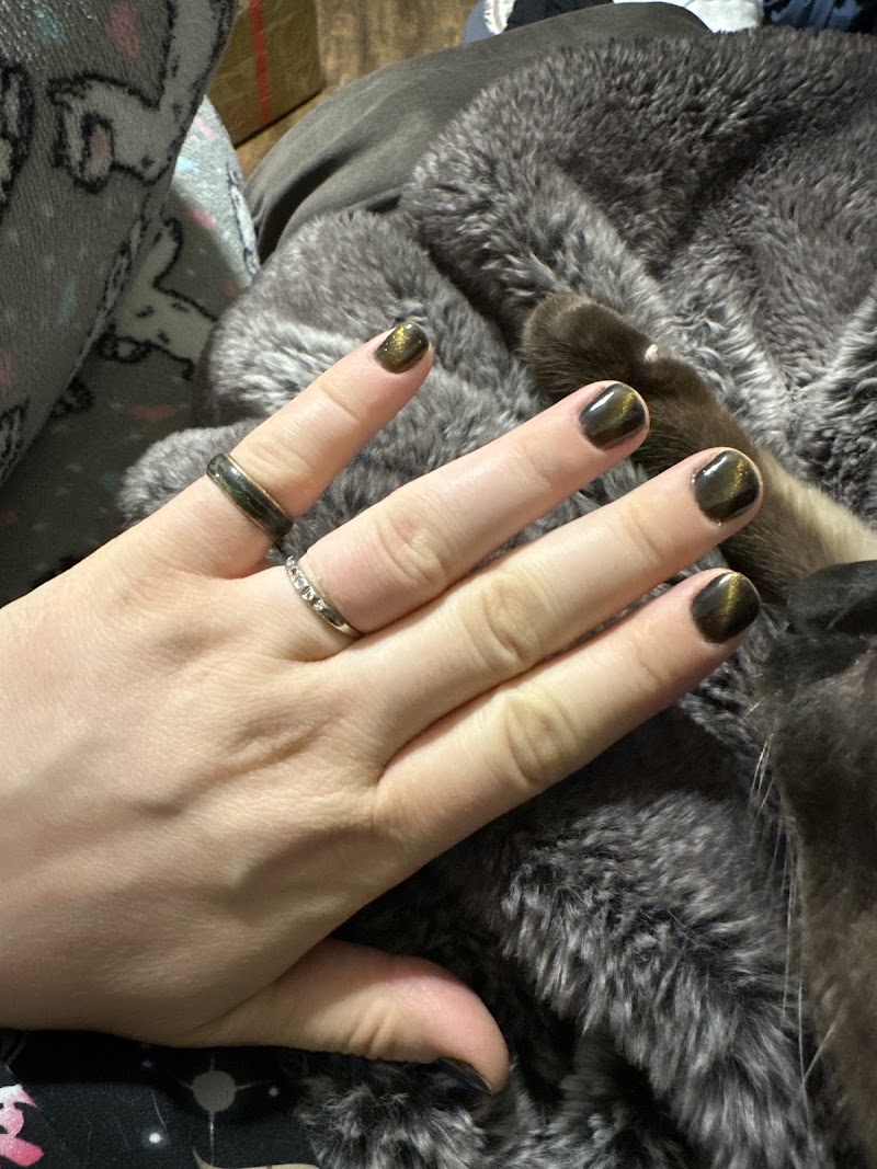 Regal Nails, Salon & Spa, nail salon in Carlisle, PA, photo 3 of 10