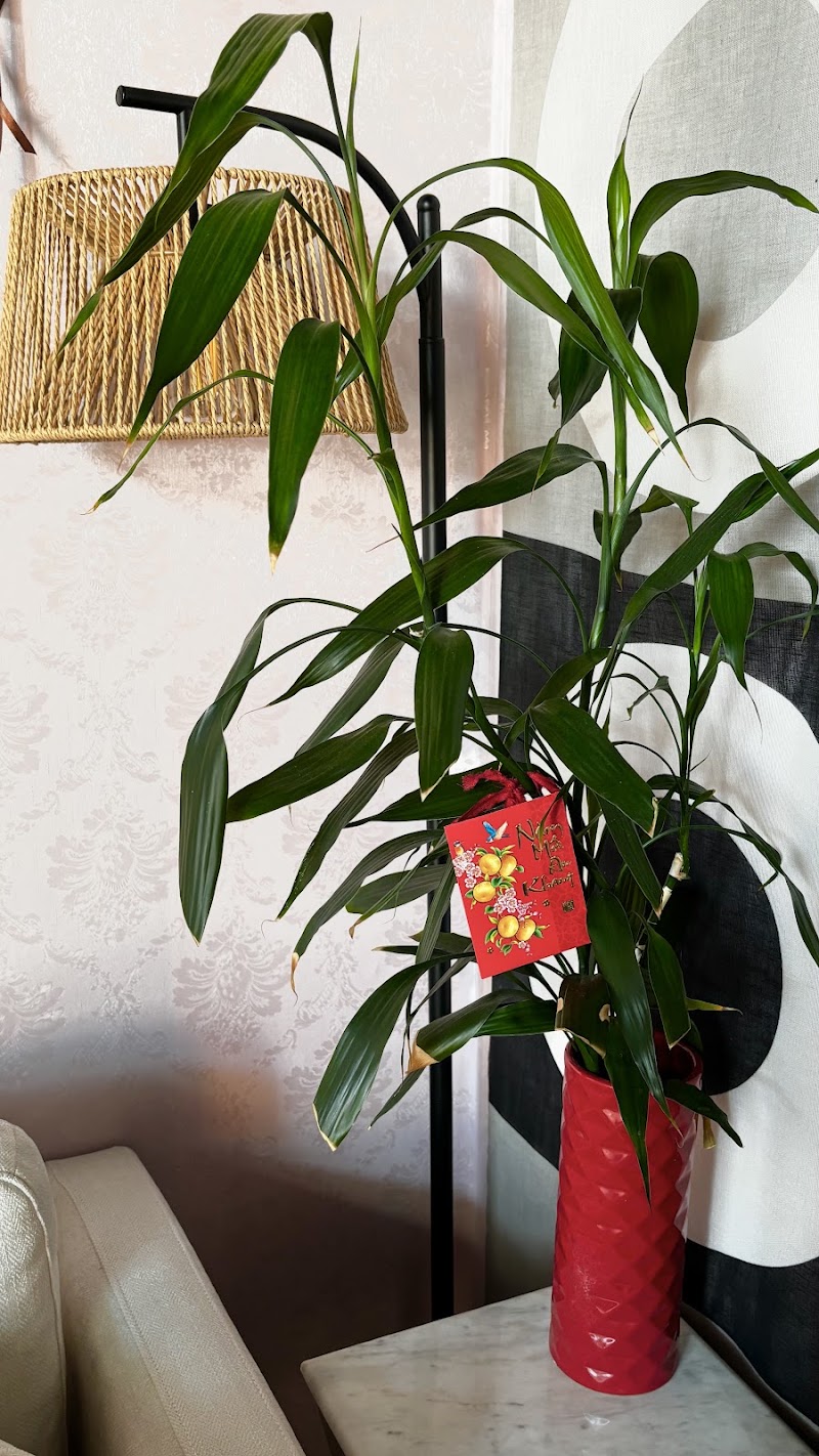 Signature Reflexology & Massage, massage spa in Grand Junction, CO, photo 6 of 10