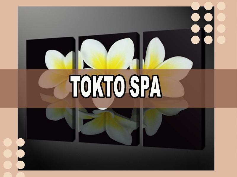 Tokyo Spa, spa in Jackson, MI, photo 5 of 7