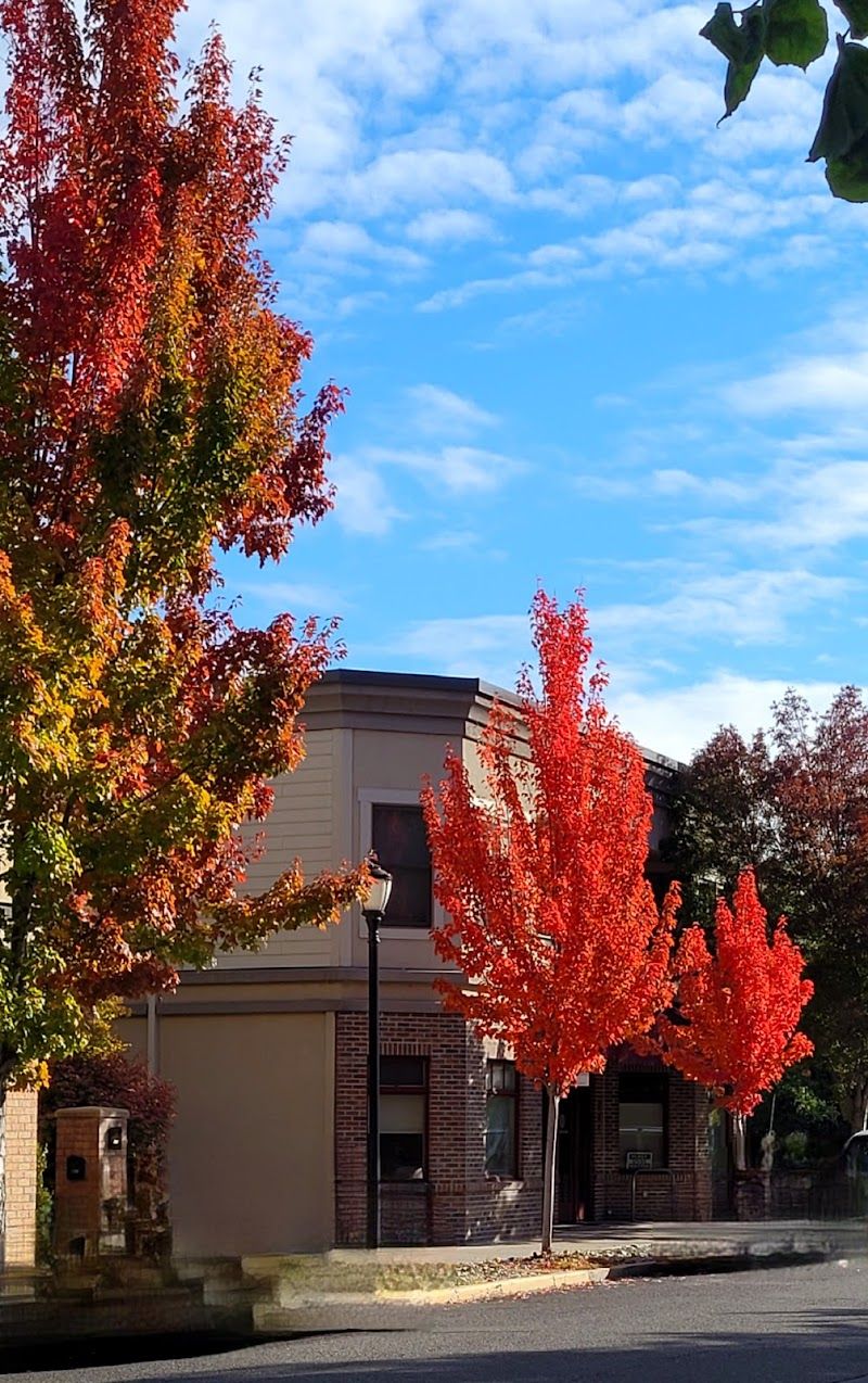 Strands, beauty salon in Ashland, OR, photo 2 of 2