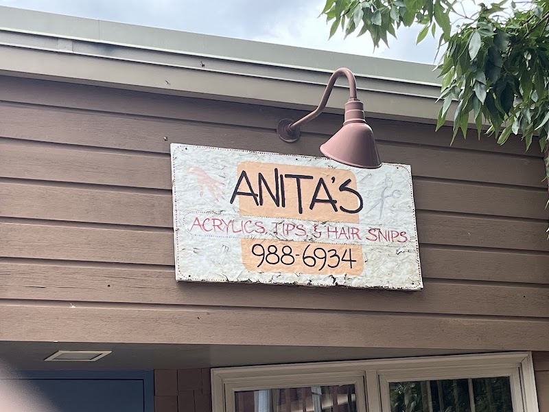 Anitas Acrylics, nail salon in Sunbury, PA, photo 1 of 1