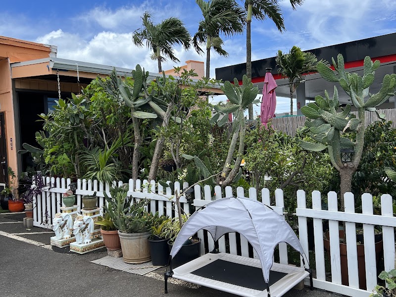 Loess Spa, spa in Honolulu, HI, photo 1 of 10