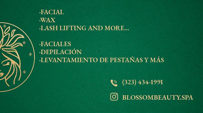 Blossom Beauty SPA, beauty salon in Fullerton, CA, photo 1 of 2