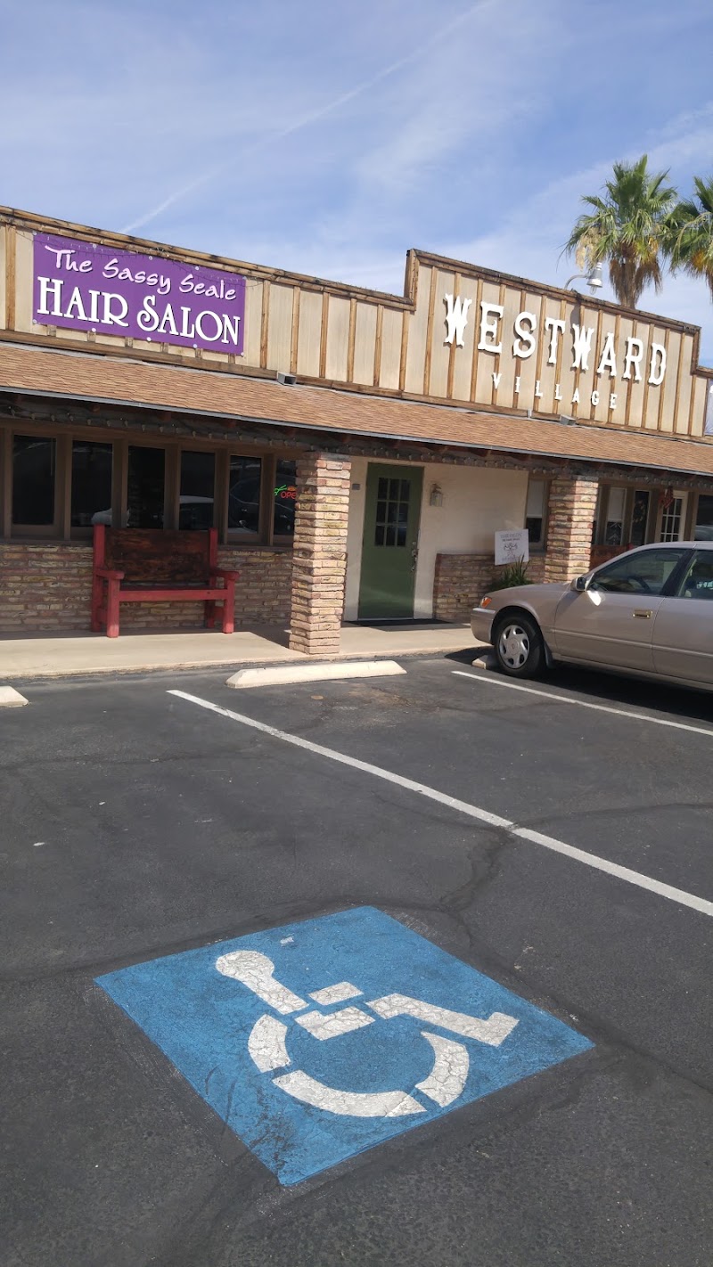 THE Sassy Seale Hair Salon, hair salon in Yuma, AZ, photo 5 of 10