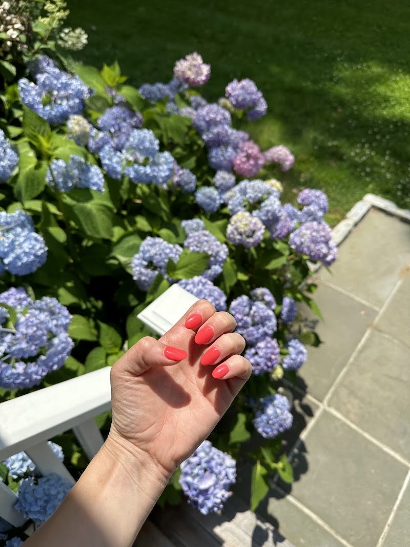 Amenity Nail & Spa, nail salon in Westport, CT, photo 4 of 5