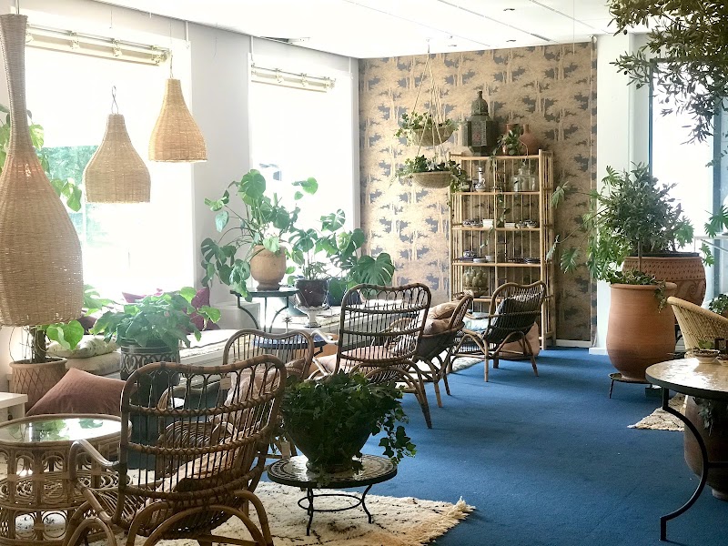 Botanicus, beauty salon in Aalborg, Denmark, photo 1 of 10