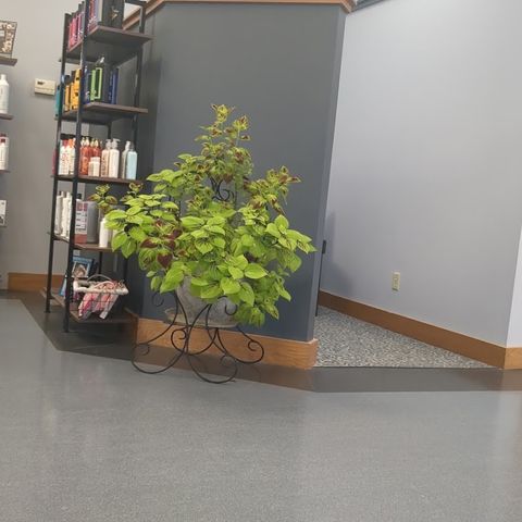 Cutting Edge Design, beauty salon in Storm Lake, IA