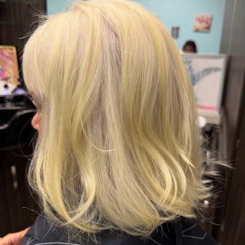 Lily Nova salon, beauty salon in Parker, CO