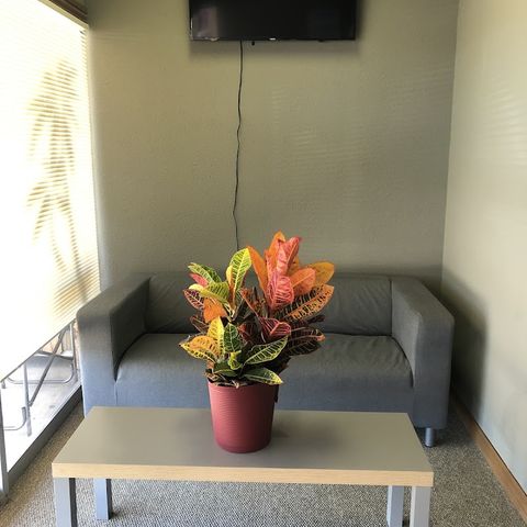 Olive's Massage, massage spa in Denton, TX