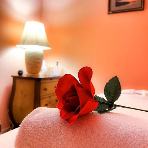 STARRY SKY SPA, massage spa in Flint, MI