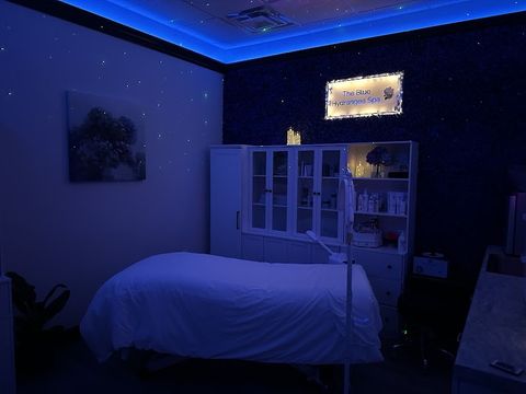 The Blue Hydrangea Spa, spa in Mentor, OH